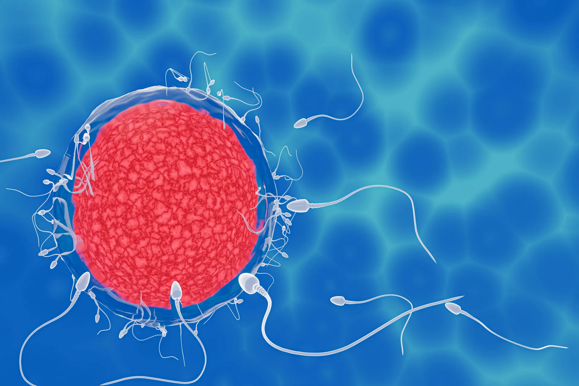 mother2be.gr-male-fertility-test-page-title
